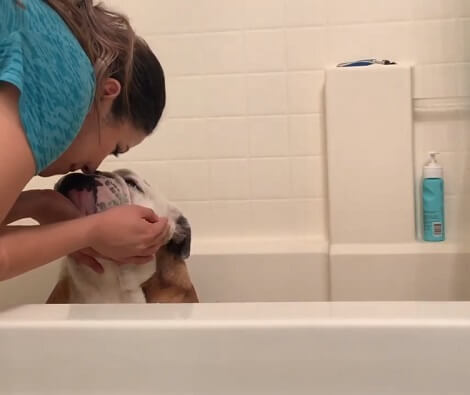 It's Time For This Adorable Pup's Bath. See How Mom Comforts Him With Kisses!