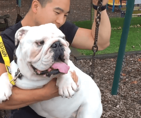 This Adorable Pup Is Giving His Momma Some Much Needed TLC!
