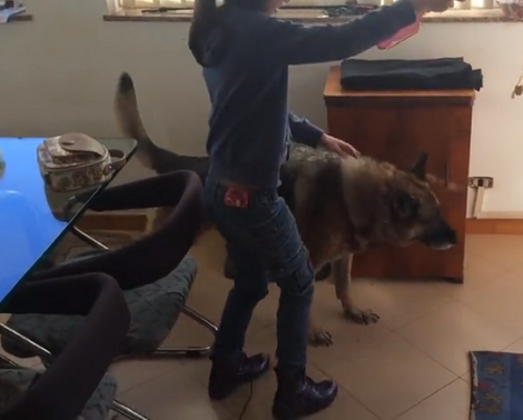 Wait Till You See What These Siblings Have In Mind!