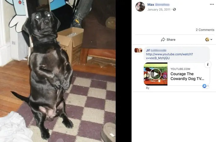 Woman Gets Locked Out Of Dog's Facebook Account - Facebook Is Asking For His Driver's License!