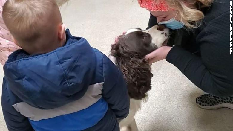 Dog Missing For 43 Days Reunites With Family After Being Rescued From A Grand Silo!