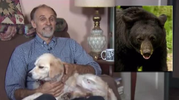 Henry The Labrador Mix Protects His Human From Mother Bear...All By Himself! #BraveAndCourageous!