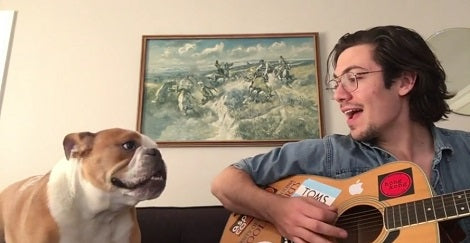 As Soon As Daddy Starts Playing, This Pup Begins Singing Like A Star!