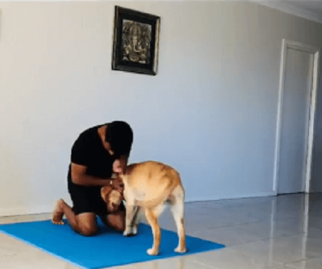 Yoga Is An Incredible Form Of Exercise, And This Pup Knows All Too Well!