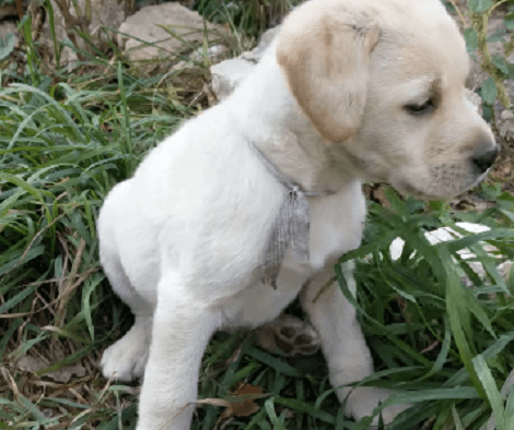 This Short Video Is Enough To Melt Your Heart And Put A Smile On Your Face!