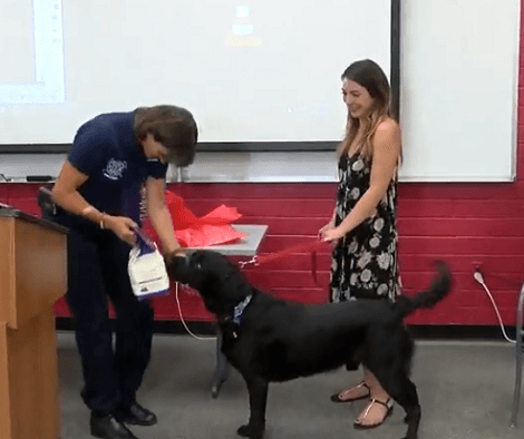 Puppy Power! Hero Pup Honored By Mesa Fire Department!