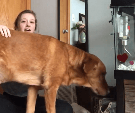 What Is It Like To Film With Your Pup?! Check This Out!