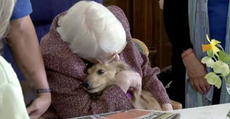 Watch How This Loving Pup Breathes Life Into Elderly Woman Who Wouldn't Eat Or Talk