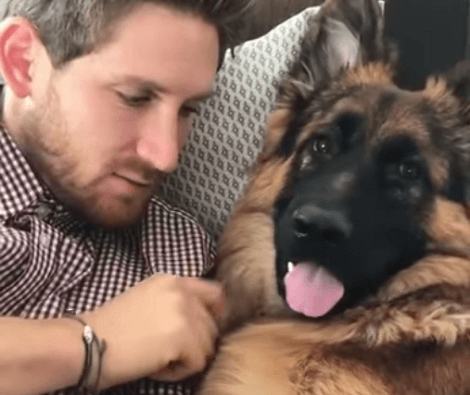 Aww!! This Adorable Pup Absolutely Loves His Dad! Check Out How They Kiss Back And Forth!