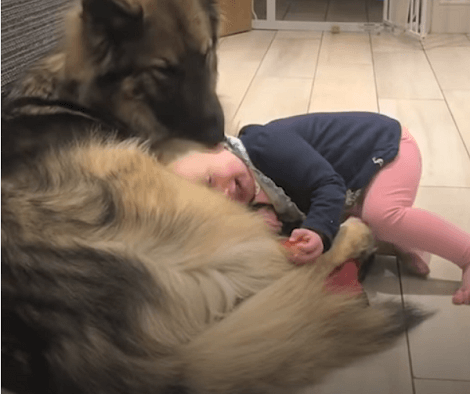 This Adorable And Loving Pup Absolutely Loves His Little Baby Girl!