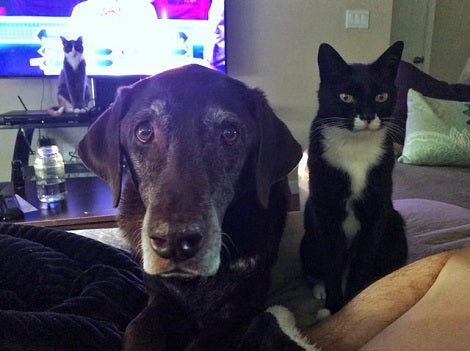 After Living Together For 13 Years, These Two Siblings Finally Becomes Best Friends!