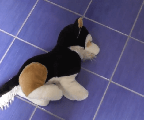 It's Bath Time For This Cute Plush Toy, But Watch The Adorable Pup's Reaction!
