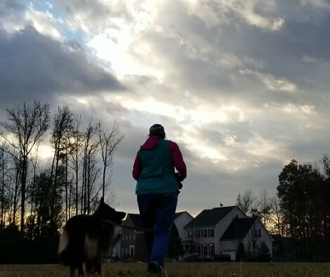 Watch How This Adorable Pup Enjoys The Day Out Chasing A Leaf!