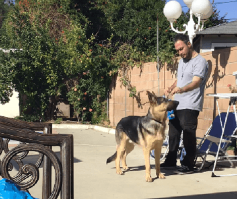 This Adorable Pup Is Having The Time Of His Life Outside With Dad!