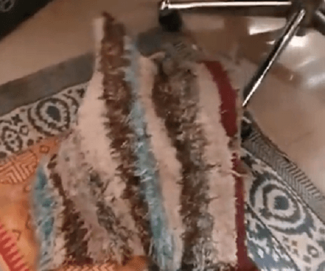 Who's That Hiding Under The Blanket? What's That Wiggling Around? Check It Out!