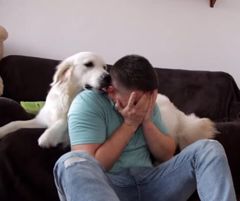 How Do Your Pups React When You Start Crying In Front Of Them? This Is Heartwarming