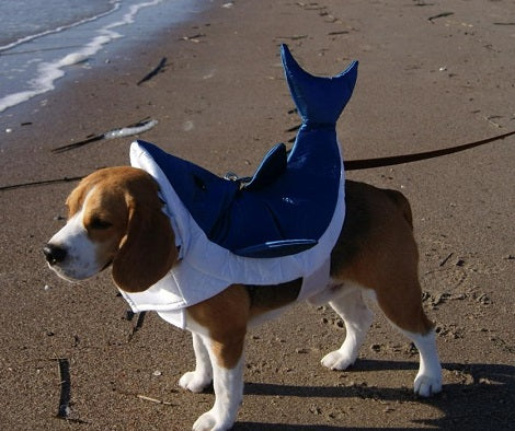 Top 5 Halloween Costumes For Beagle Pups That Will Turn Heads!