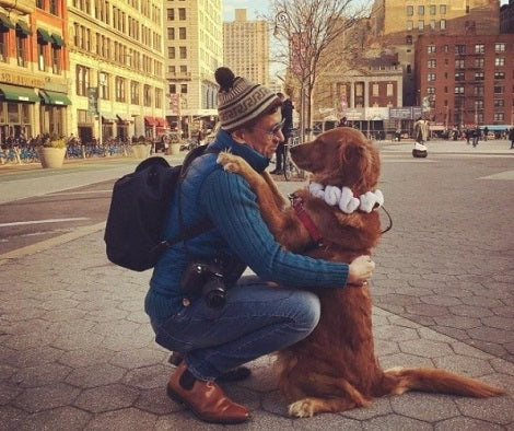 This Adorable Pup Is Obsessed With Hugging Strangers On The Road!