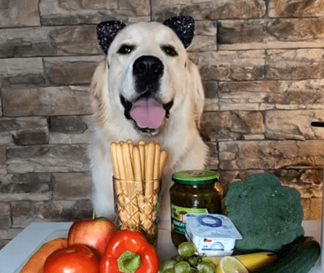 This Adorable Pup Is Trying Out New Foods And We're Excited For Him!