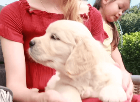 What Is It Like to Photoshoop Adorable Puppies?! Well, It's Not Easy, That's For Sure!