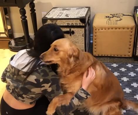 There's Nothing Better Than An Adorable Pup Who Loves Giving Out Hugs!