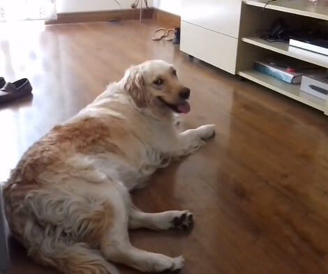 There's Nothing Better Than Relaxing And Lounging On Your Livingroom Floors! Don't You Agree?!