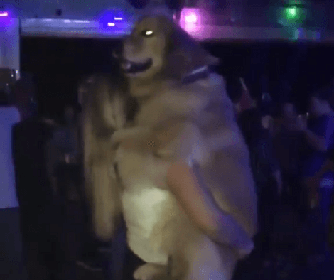 Who Says Pups Can't Dance? This Video Will Bring A Smile To Your Face!