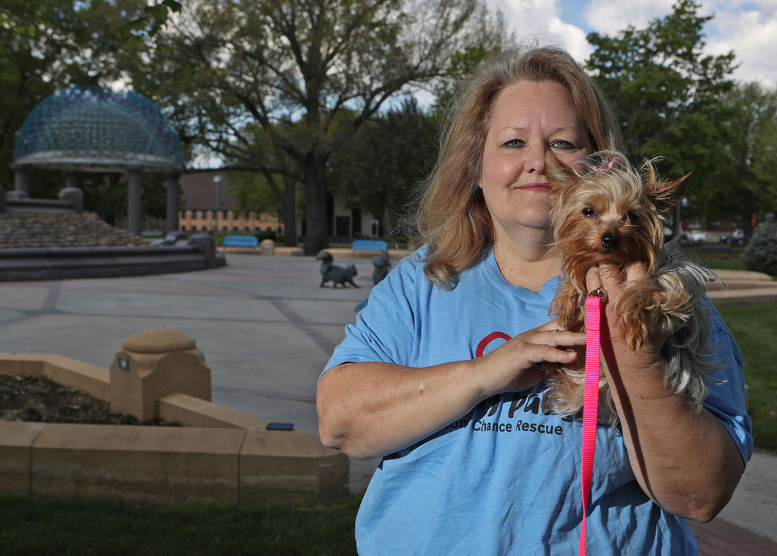 What One Woman Is Doing to Save Lives Of Pets Is Going To Warm Your Heart