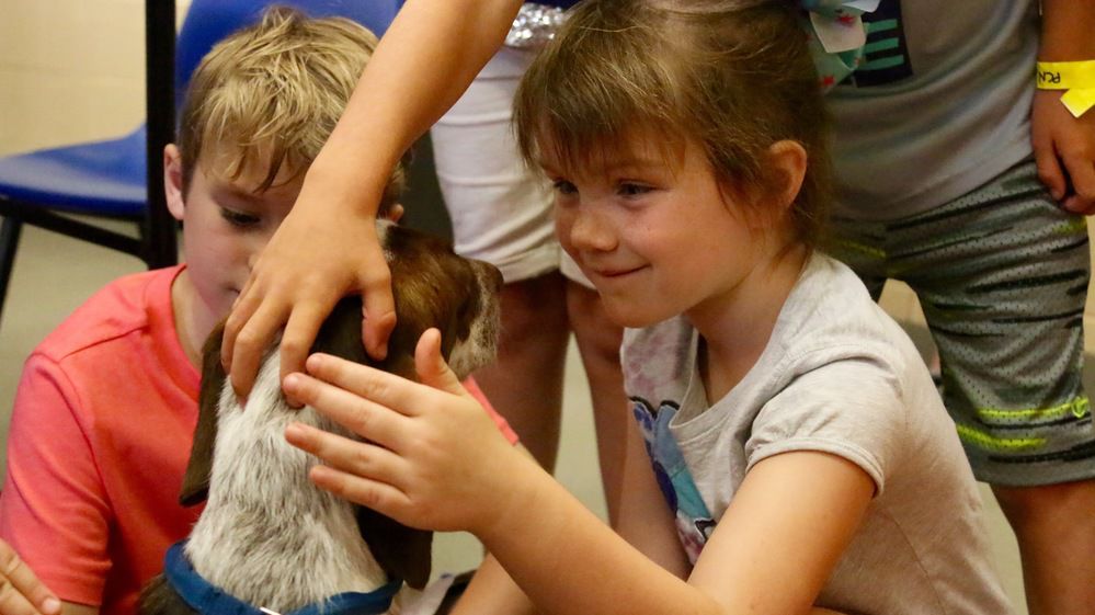 Summer Camp Teaches Kids How To Care For Animals