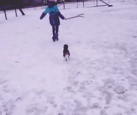 This Adorable Pup Is Enjoying The Cold Outdoors With His Family!
