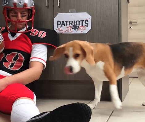 What Happens When Your Pups Meet An American Football Player?! Check This Out!