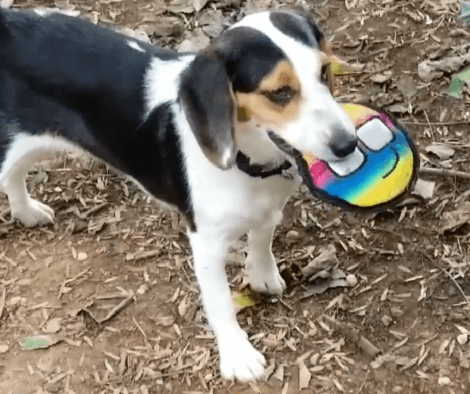 Watch How These Two Siblings Play With Each Other Knowing One's Blind