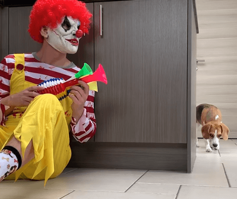 What Happens When Your Pups Meet A Scary Clown?! Check This Out!