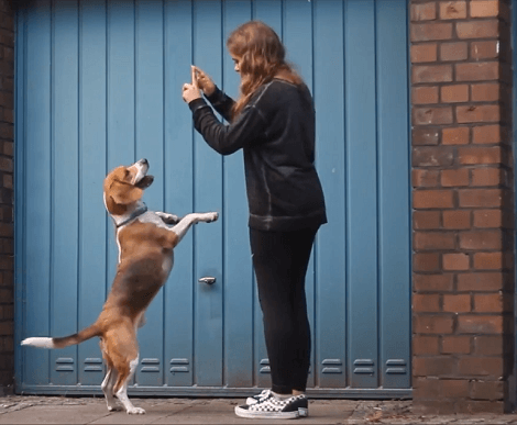 This Adorable Pup Absolutely Loves Spending Time With His Mom! Check Out These Memories!