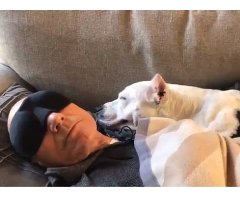 Patrick Stewart's New Foster Pup Won't Stop Smiling At Him!