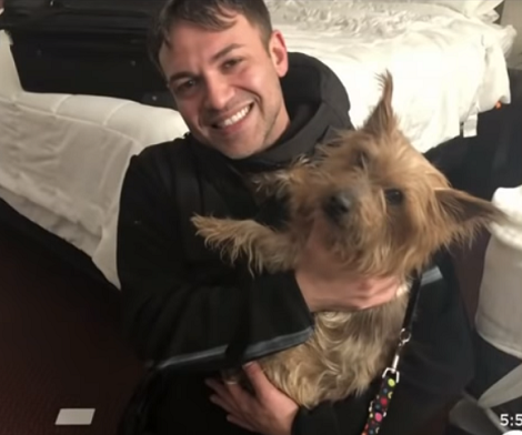 Shelter Volunteer Works Hard To Reunite Pup And Dad A Year After The Pup Was Stolen