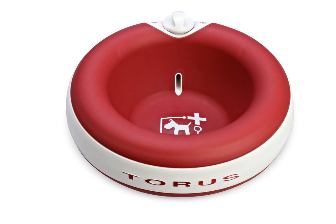 Dogs Vs. Torus Water Bowl