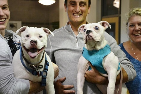 Adorable Pup Abandoned Because He Was Blind Gets A Loving Big Brother!