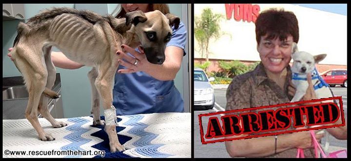 She Called Herself An Animal Rescuer, But No One Knew Her Dark Secrets...Until Now.