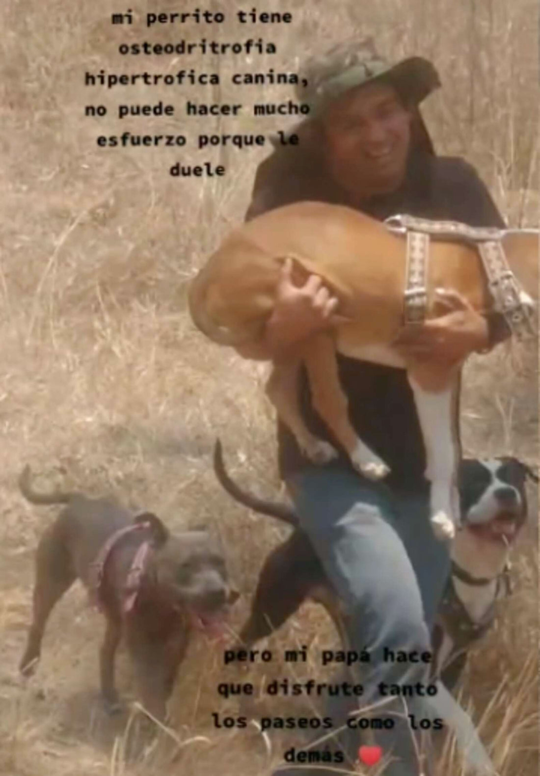 How This Doggie Dad Makes Sure His Special Needs Son Is Never Left Out