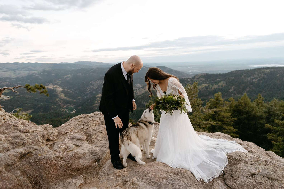 Doggy Wedding Crashers Make Appearance At Mountain Top Wedding