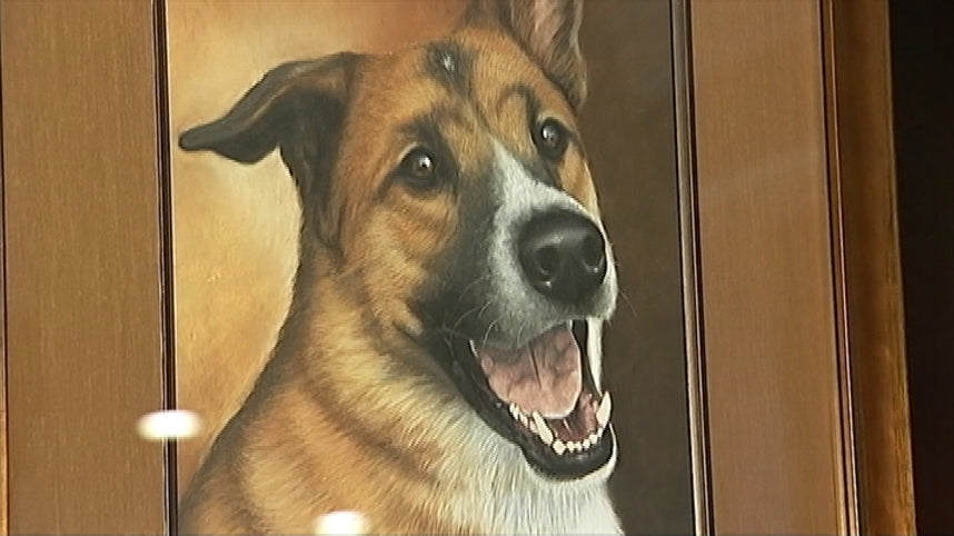 Cobb County Dog Owner Blames Flea Drug To Have Killed Her Dog