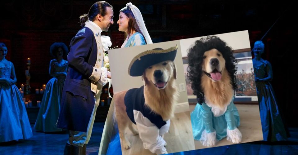 Adorable Dog Goes Viral For His Performance Of The Broadway Musical “Hamilton”