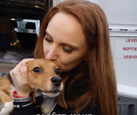 Beagle Freedom Project Saves 10 Beagles From A Lab Experience