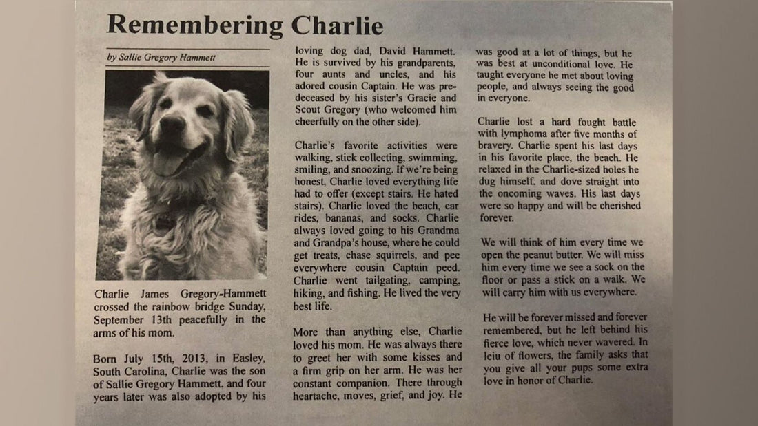 Mom’s Eulogy To Beloved Pup Touches Hearts From All Over The World