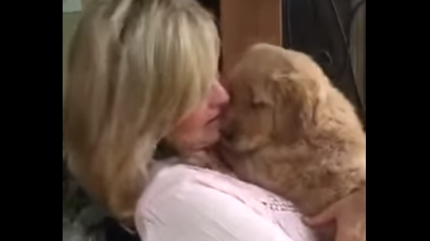 Husband Surprises Wife With A Golden Retriever Puppy!