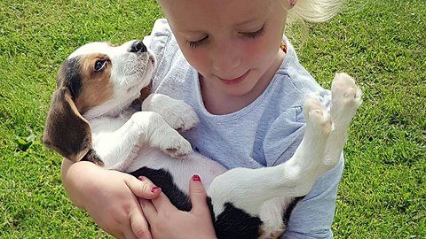 Watch How This Adorable Puppy Falls Asleep In His Big Sister's Arms!