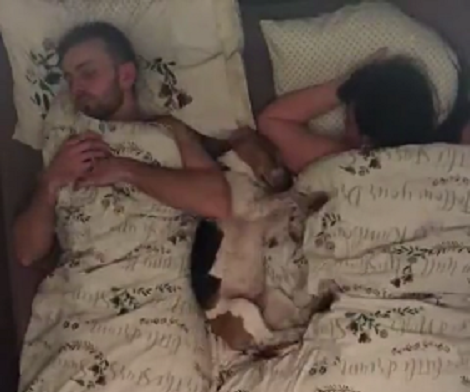 This Hilarious Sleep Time Lapse Is Definitely Going To Make You Laugh!