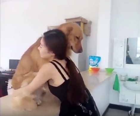 Mommy Wants Pup To Get Down, But Pup Has Other Plans! Check This Out!