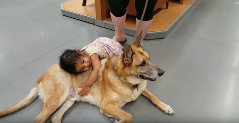 Tiny Toddler Finds A Gentle Pup... And Their Friendship Begins!